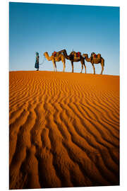 Tableau en PVC Tuareg with camels, Morocco