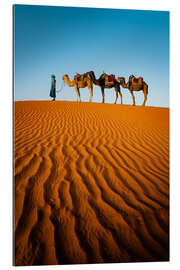 Gallery print Tuareg with camels, Morocco