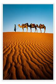 Wandbild  Tuareg mit Kamelen, Marokko - Matteo Colombo