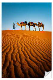 Selvklebende plakat Tuareg with camels, Morocco