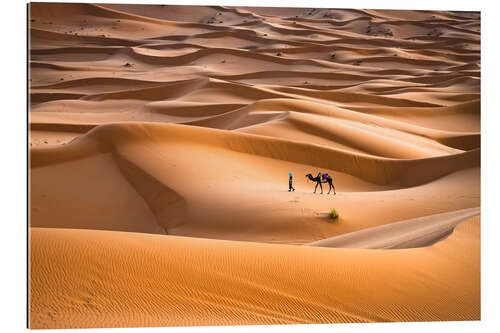 Gallery print Travelling through desert, Morocco