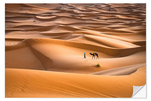 Selvklebende plakat Travelling through desert, Morocco