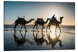 Aluminium print Camels on the beach, Morocco