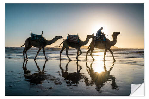 Selvklebende plakat Camels on the beach, Morocco