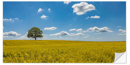 Sticker mural Tree in the rape field