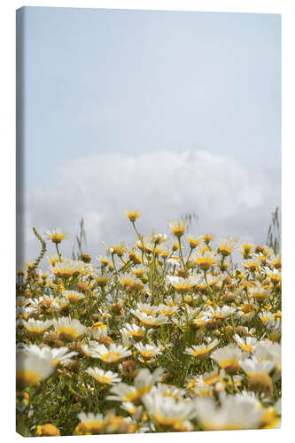 Canvas-taulu Daisy Flower Garden