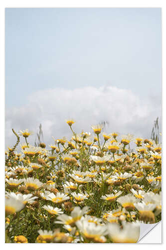 Naklejka na ścianę Daisy Flower Garden