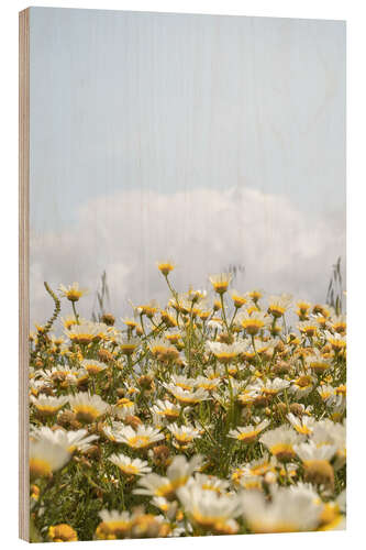 Quadro de madeira Daisy Flower Garden