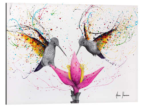 Aluminiumsbilde Friendship Hummingbirds