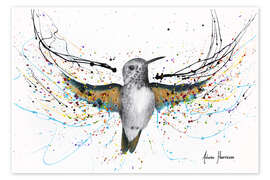 Wall print  Hummingbird Symphony - Ashvin Harrison