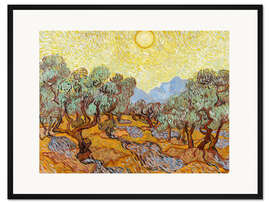 Gerahmter Kunstdruck Olivenbäume mit gelbem Himmel und Sonne