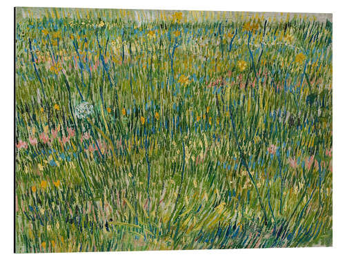 Quadro em alumínio Blooming Meadow