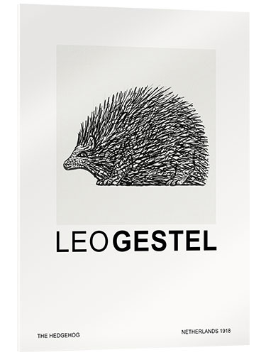 Acrylglasbild The Hedgehog (Special Edition)