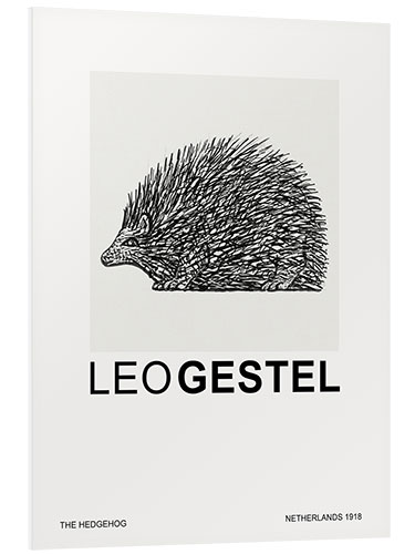 Foam board print The Hedgehog (Special Edition)