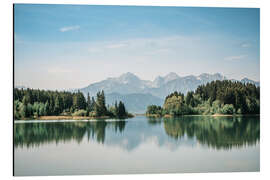 Alubild Alpenpanorama Allgäu