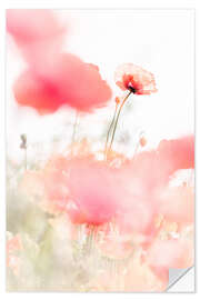 Wall sticker Dancing Poppies II