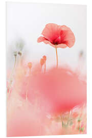 Quadro em PVC Poppies in the field