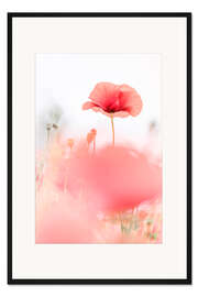 Gerahmter Kunstdruck Mohnblumen im Feld