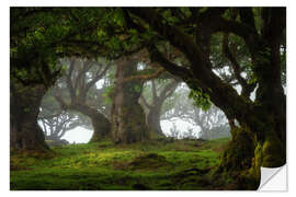 Selvklebende plakat Trees of Madeira, tree paradise