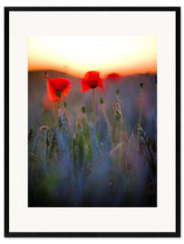 Impression artistique encadrée Dreamy bokeh of red poppies