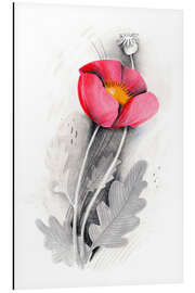 Aluminium print Poppy