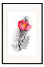 Gerahmter Kunstdruck Mohn