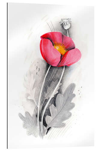 Galleriprint Poppy