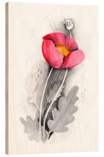 Wood print Poppy