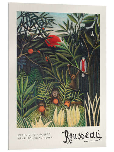 Tableau en plexi-alu Monkeys and Parrot in the Virgin Forest