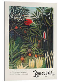 Tableau en plexi-alu Monkeys and Parrot in the Virgin Forest