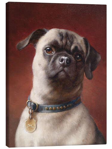 Canvastavla Pug