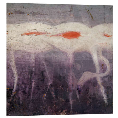 Acrylic print White Flamingoes