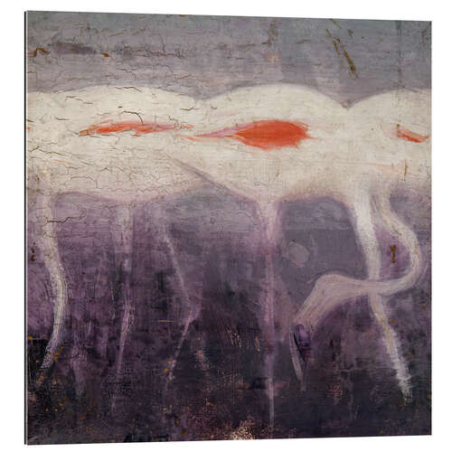 Gallery print White Flamingoes