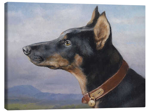 Canvas print Portrait of a Doberman