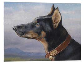 Foam board print Portrait of a Doberman