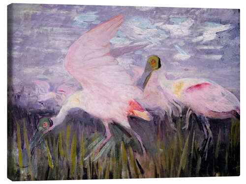 Canvas print Roseate Spoonbills