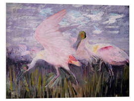 Foam board print Roseate Spoonbills