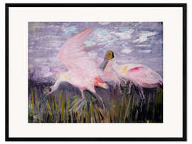 Ingelijste kunstdruk Roseate Spoonbills