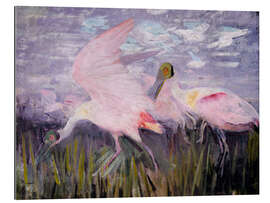 Tableau en plexi-alu Roseate Spoonbills