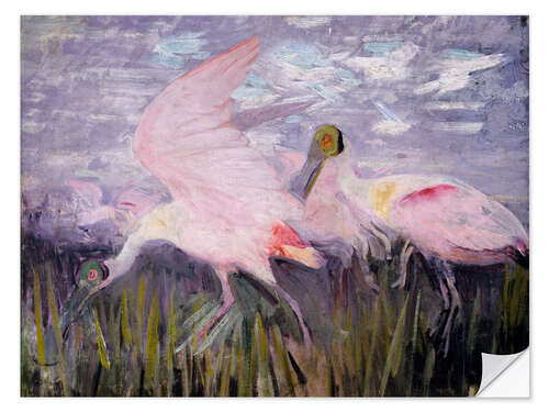 Selvklebende plakat Roseate Spoonbills