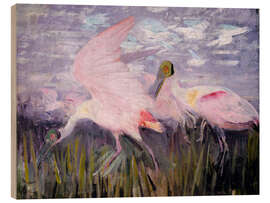 Wood print Roseate Spoonbills