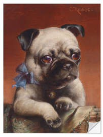 Vinilo para la pared Young Pug