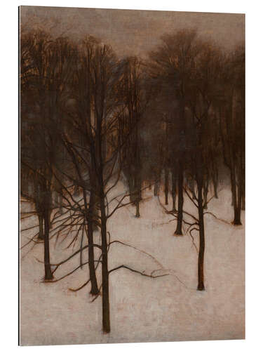 Gallery print Søndermarken Park in Winter