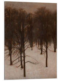 Gallery print Søndermarken Park in Winter