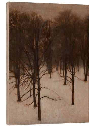 Obraz na drewnie Søndermarken Park in Winter