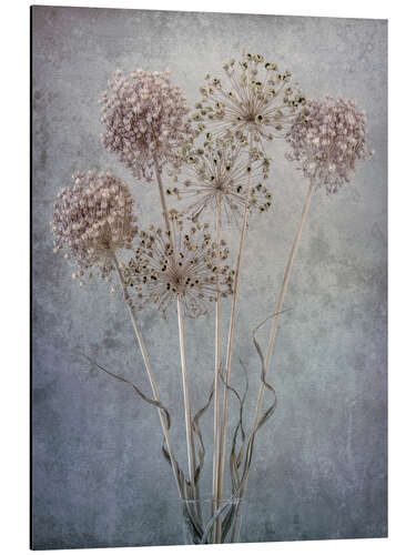 Stampa su alluminio Allium Bouquet