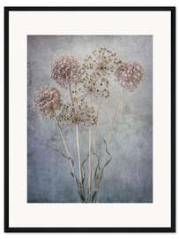 Gerahmter Kunstdruck Allium Strauß