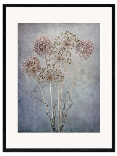 Framed art print Allium Bouquet