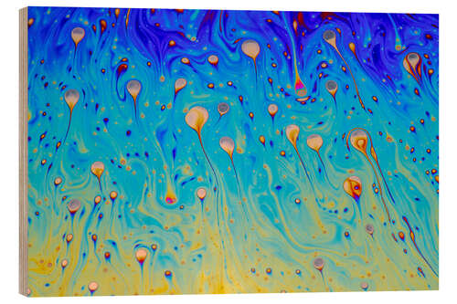 Quadro de madeira Play of Colours of the Soap Bubble IV