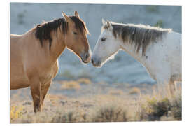 Foam board print Nose to nose, Sand Wash Basin wild mustangs